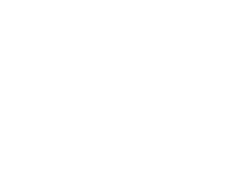 Keizer Kamiel